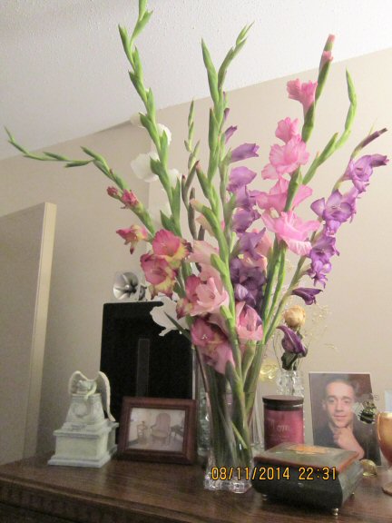 gladiolas from Kocher Twins - C